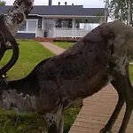 Casa de Férias Home, Sámi Village *