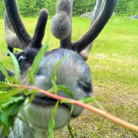 Casa vacanze Holiday Nellimö