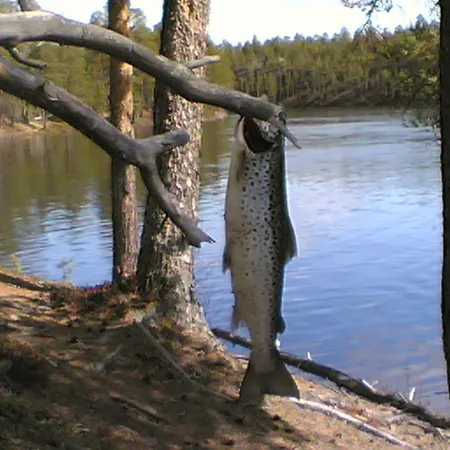 Holiday Casa vacanze *