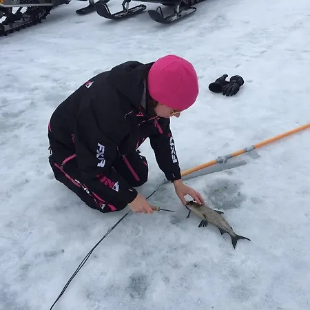 Home, Sami Village Semesterbostad Nellimö