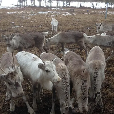 Holiday Casa vacanze