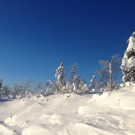 Home, Sami Village Semesterbostad *