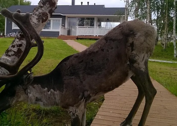 Casa de Férias Holiday *