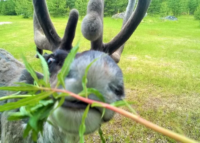 Casa de Férias Holiday Nellimö