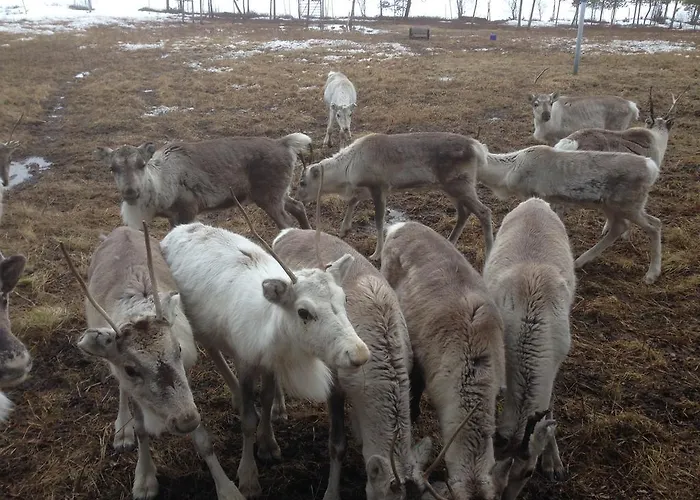 Holiday Casa de Férias