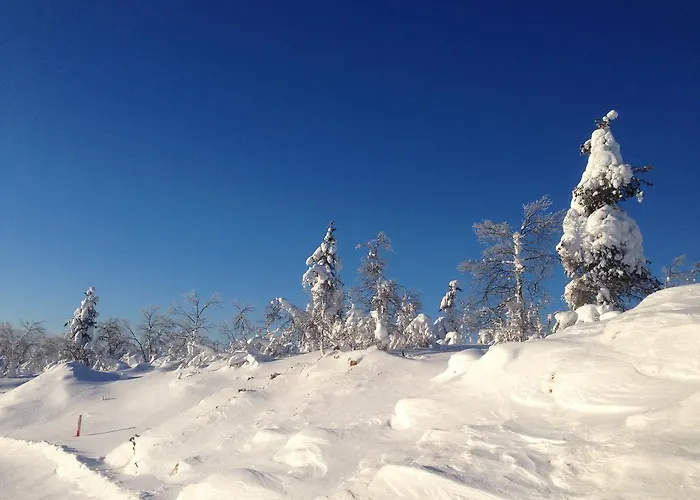 Holiday Hébergement de vacances *